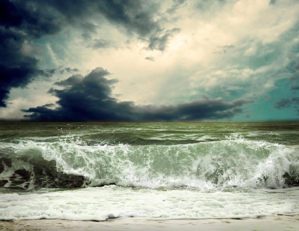 Historically, sailors believed that petrels signalled an oncoming storm.