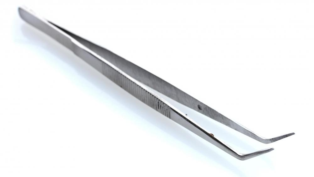 Tweezers can be used to remove a bee's stinger from the body.