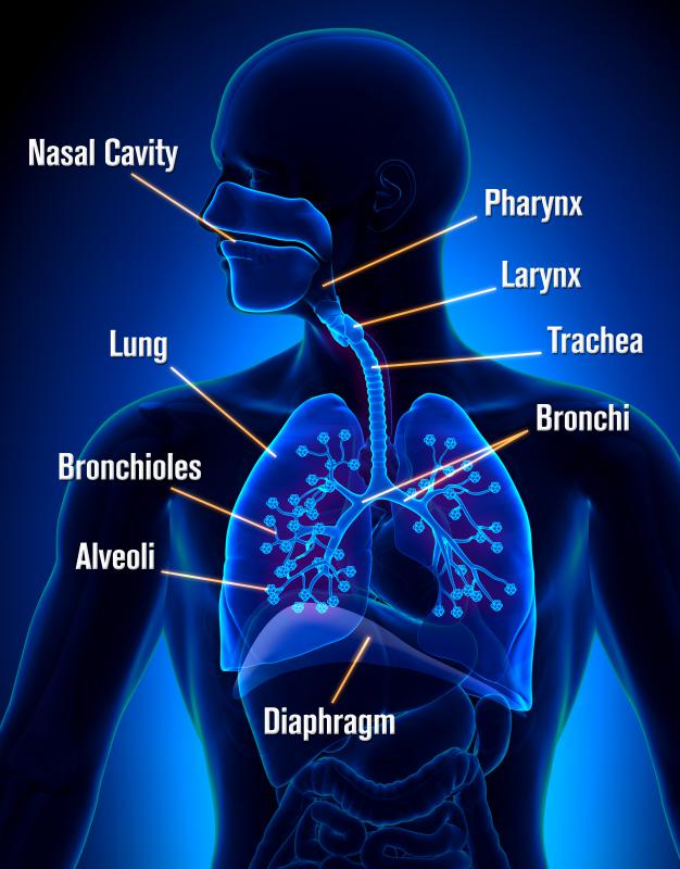 Smog can cause damage to human respiratory tracts.