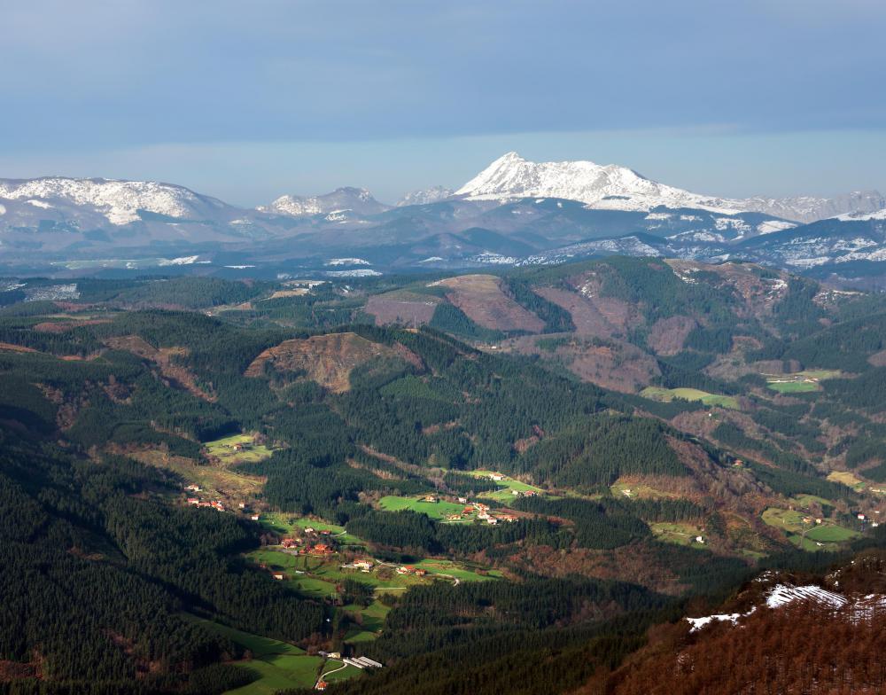 Valleys are located between mountains and elevated regions.