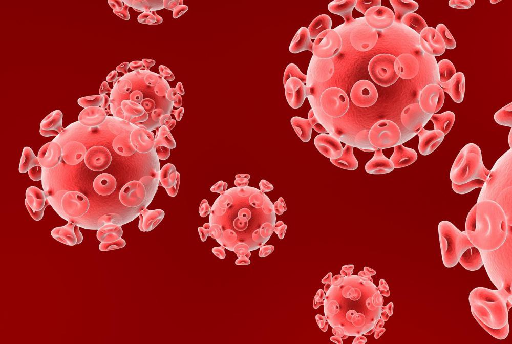 FeLV is a contagious virus that is spread through cat to cat contact.
