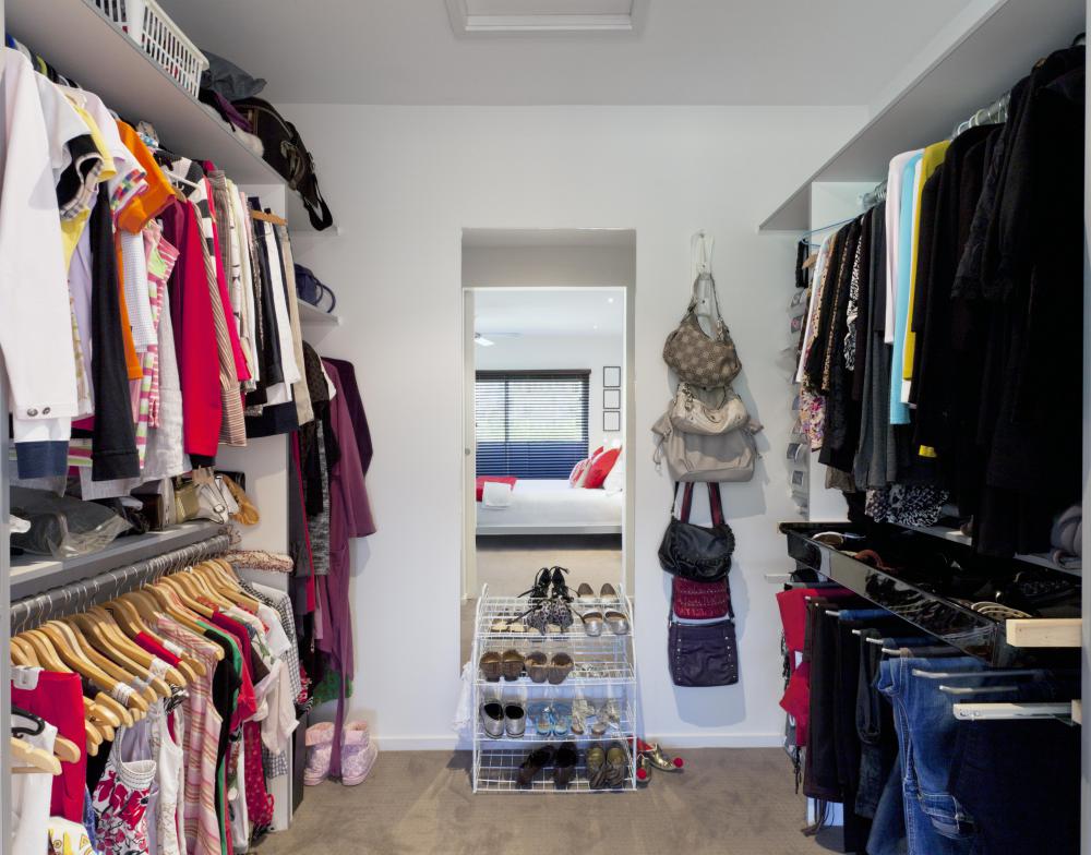 Cockroaches may be found in closets during daytime hours.