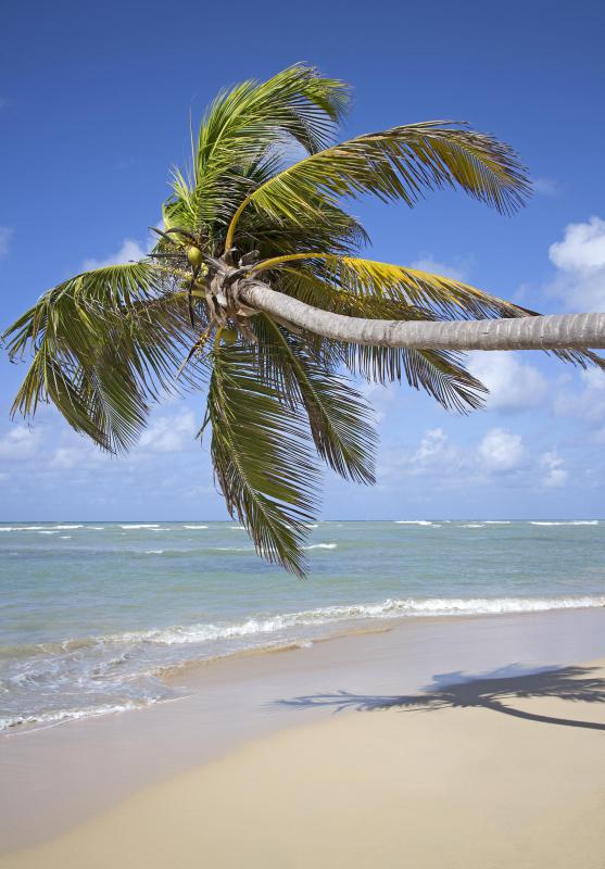 Tides can vary depending on the location.