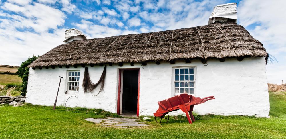 Reeds have been used to thatch roofs for centuries.