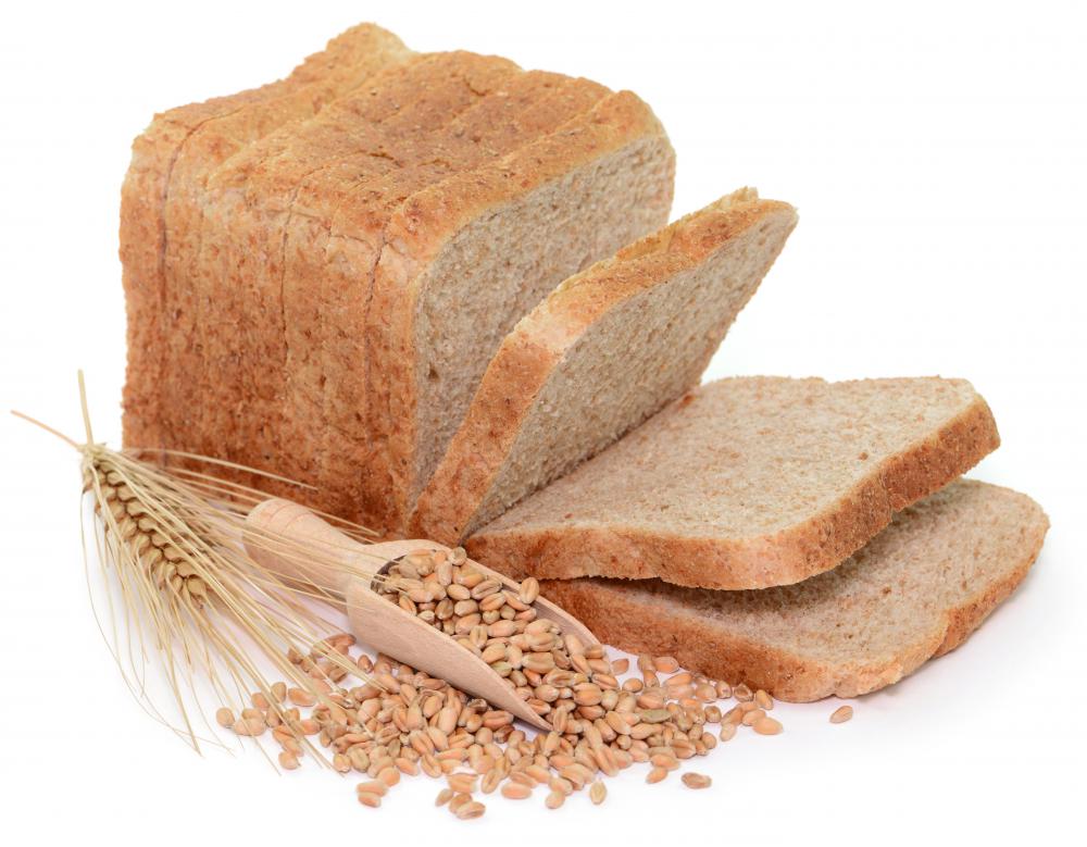 An iguana can enjoy whole wheat bread in limited amounts.
