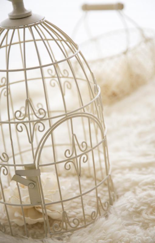 Canaries don't require large cages.
