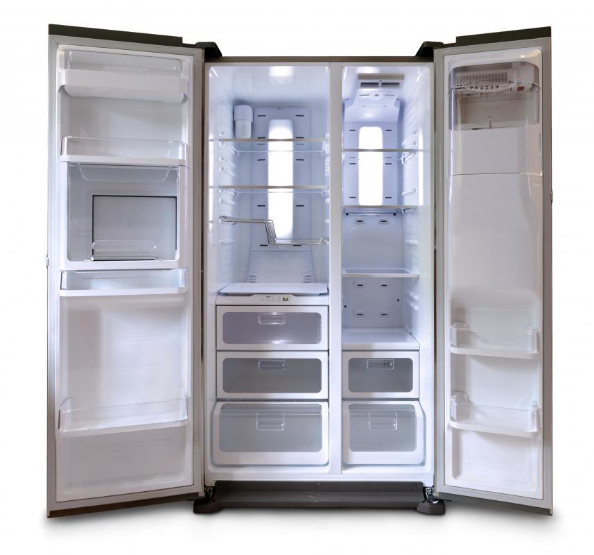 The seals of a refrigerator should be cleaned so as not to attract fruit flies.