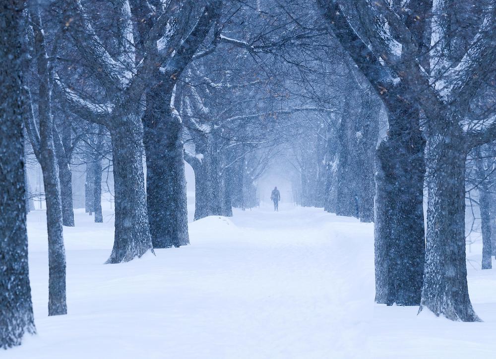 Freezing fog is most common during the winter months.
