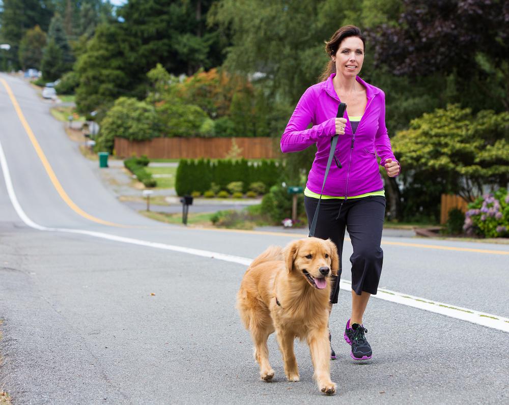Pets need regular exercise to maintain a healthy weight.