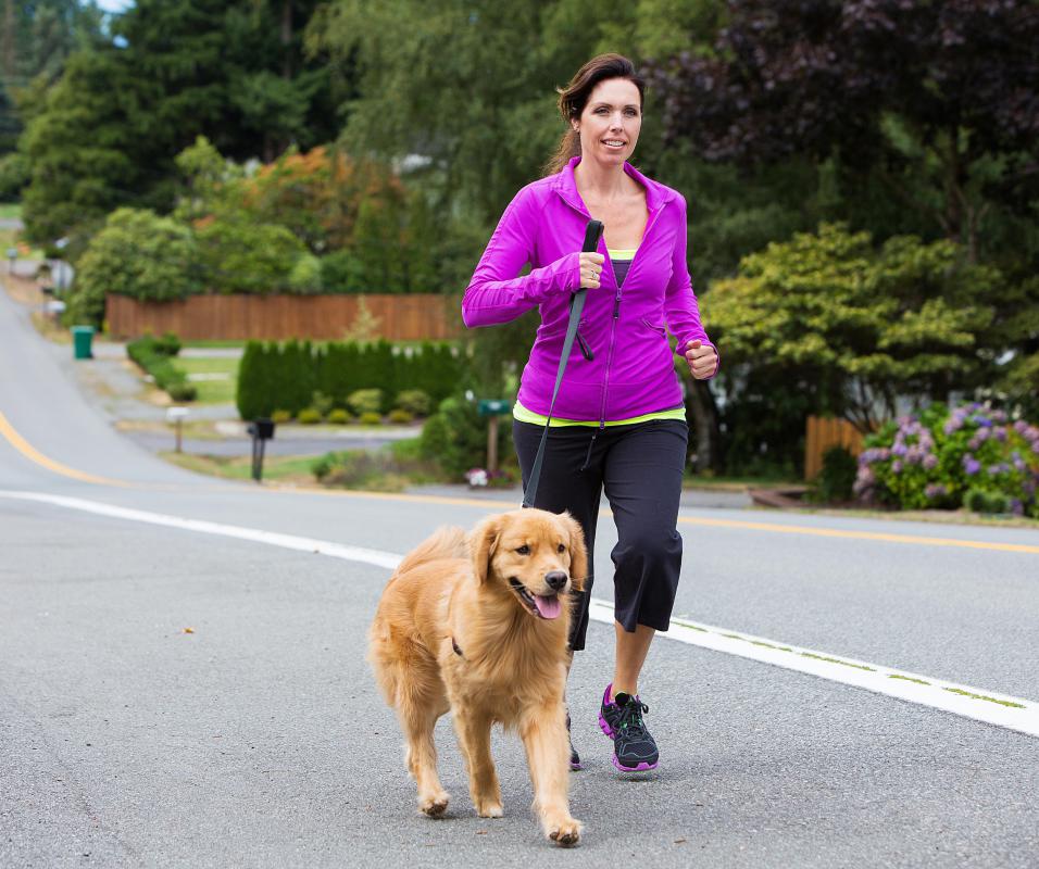 Giving a dog plenty of exercise will help reduce negative chewing behavior.