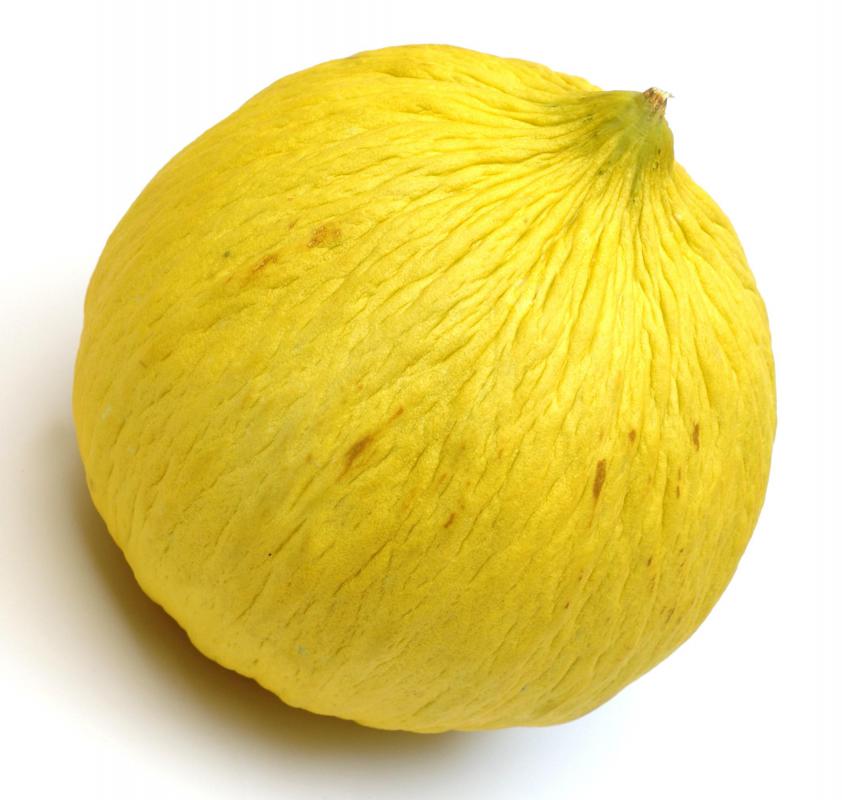 A casaba melon, a member of the Cucurbitaceae family.