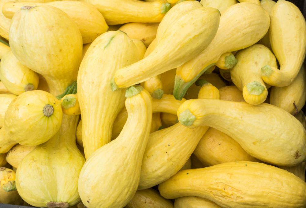 Squash bugs have an affinity for attacking squash and similar produce.