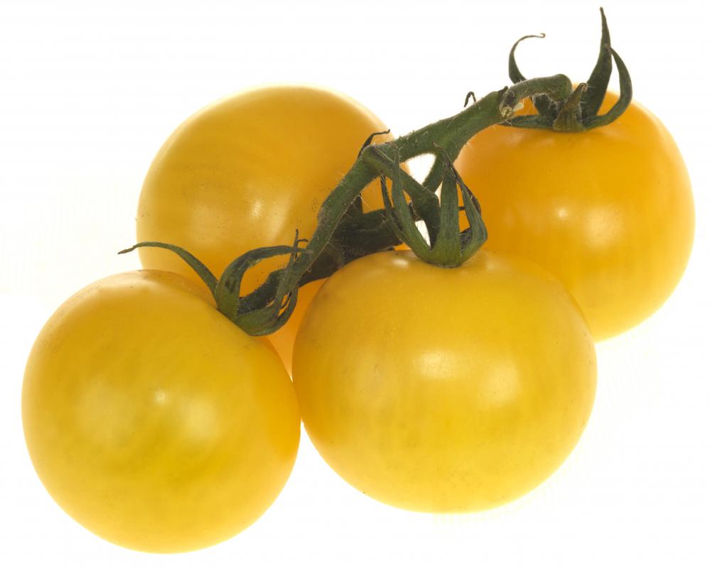 Stink bugs are attracted to tomato plants.