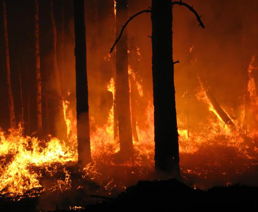 Fire lines are commonly used against wildland fires.