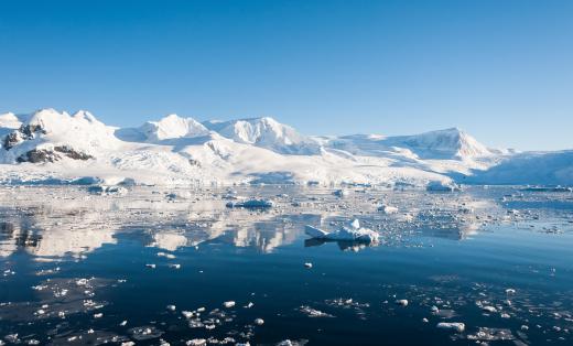 Antarctica hosts large petrel colonies during the breeding season.