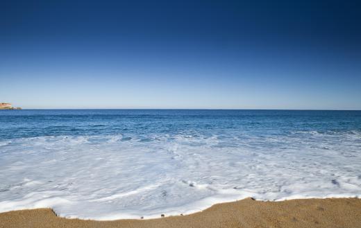 Current and tide movement vastly impact a sea habitat.