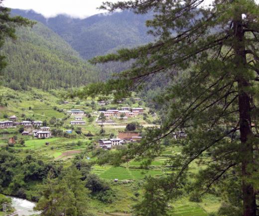 Along with the South American nation of Suriname, heavily forested Bhutan is carbon negative: it absorbs more greenhouse gases than it emits.