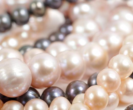 Black pearls are extremely rare, and therefore expensive.