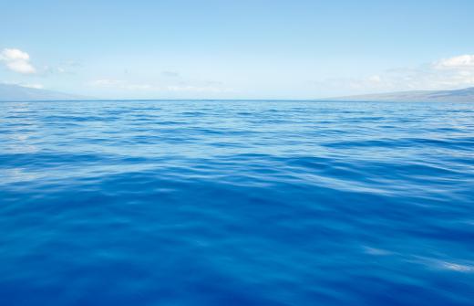 Diatoms can be found in the upper layers of the ocean.