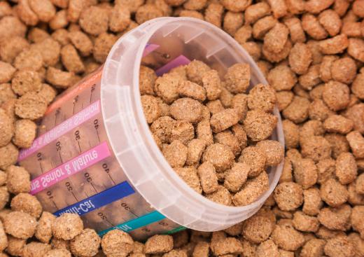 A pure protein source should be the first ingredient on a cat food label.