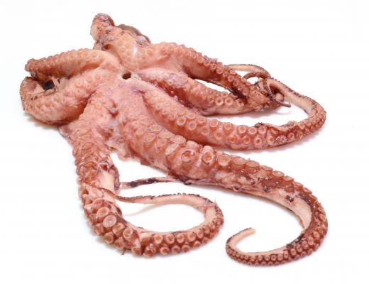 Many stories depict the Kraken as a type of octopus.