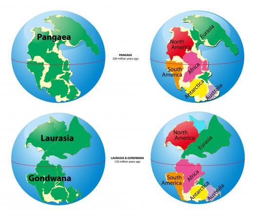 The formation of Pangea (also spelled Pangaea) likely contributed to the Great Dying.