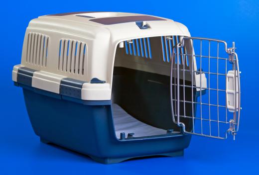 A pet carrier that's approved for airline travel.