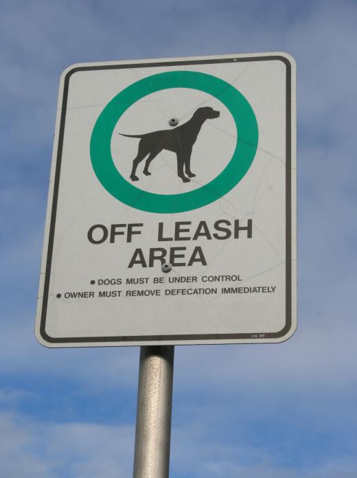 Off-leash areas are usually posted.