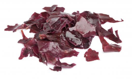 A nutrient-rich microorganism typically found in oceans and seas, seaweed has long served as a food for some populations.