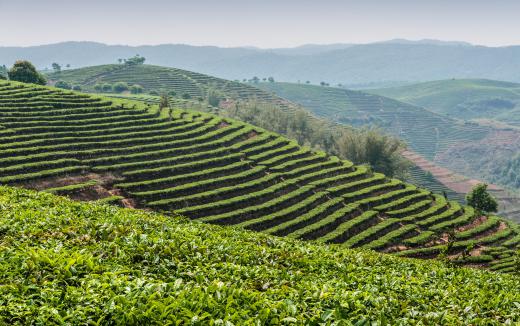 Cloudbursts may be welcomed by farmers because of the thorough irrigation of their crops.