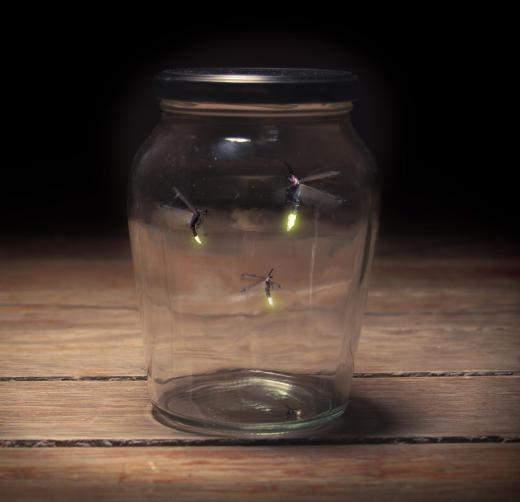 Fireflies will illuminate the sky at night.