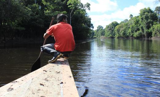 Pink river dolphins live in the Amazon River, where their presence has been threatened by targeting from fishermen.