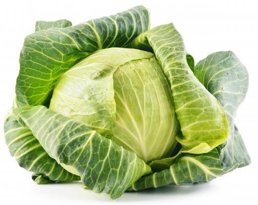 A cabbage worm gets its name from its tendency to eat a number of plants from the cabbage family.