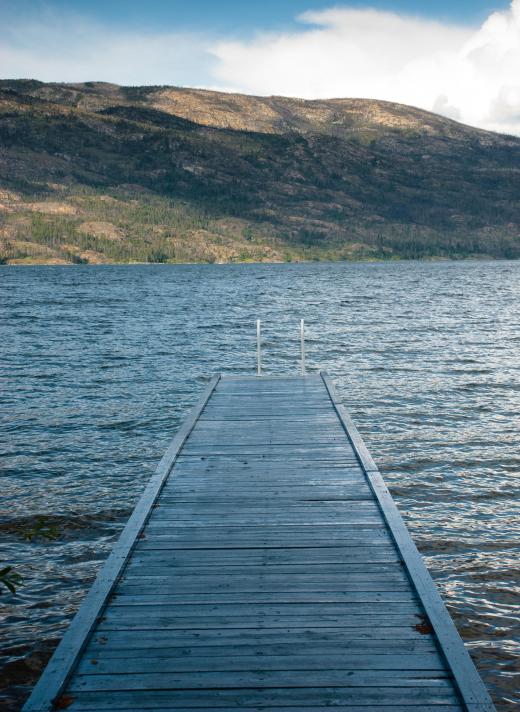 Ogopogo is a lake monster that is rumored to inhabit Lake Okanagan in British Columbia, Canada.