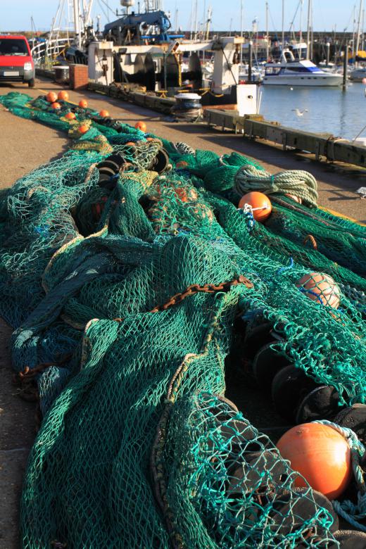 Drift nets may be used in commercial fishing to catch large amounts of fish.