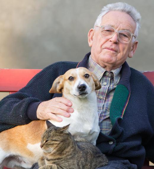 Pet therapy can have a very positive effect on the elderly.