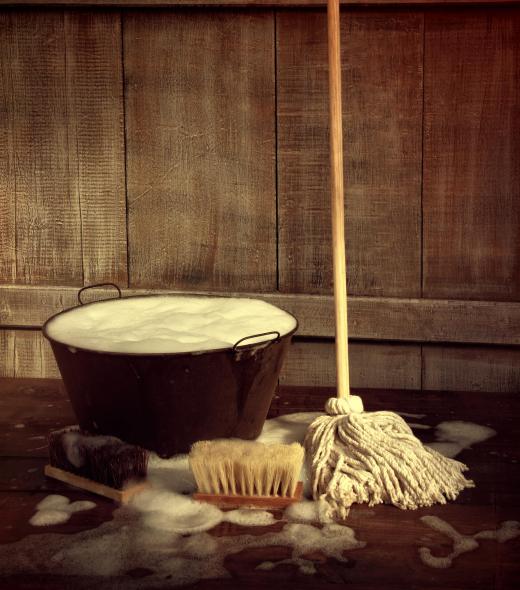 Non-food items like wet mops can hold particles of decaying material that may harbor fruit flies.