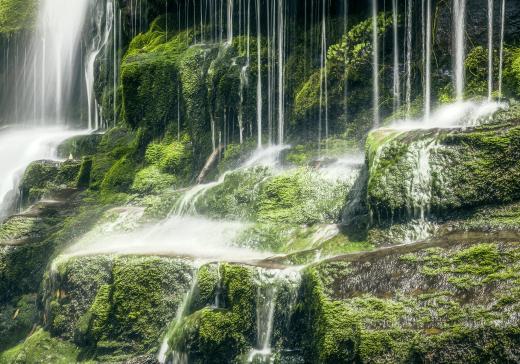 Moss on stones around a waterfall.