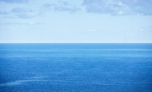 Ribbonfish tend to prefer open waters.