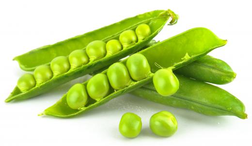 Peas are often attacked by cucumber beetles.