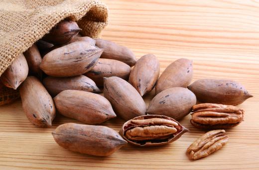 Many nut trees, like pecan trees, have wide canopies.