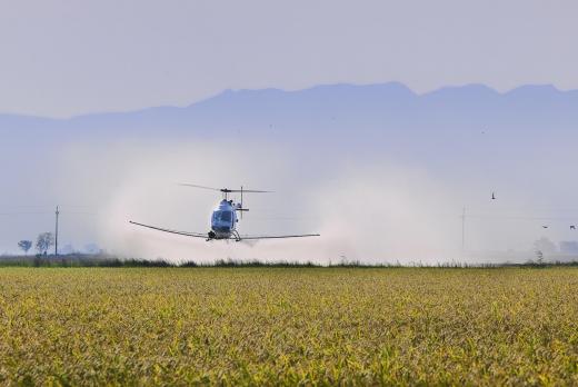 In 2007, widespread aerial spraying of the Checkmate pesticide in California's Santa Cruz County resulted in numerous health complaints.