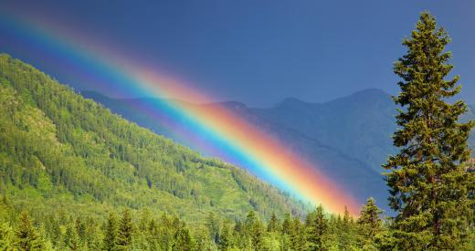 The reflection of sunlight through individual drops of water causes a rainbow.