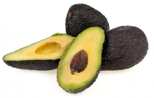 Avocados are poisonous for canaries.