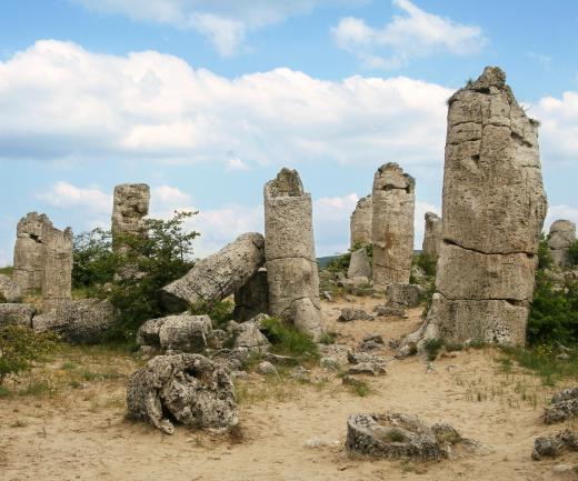 Many petrified and fossilized remains, including those of petrified trees, are often found near a wadi.