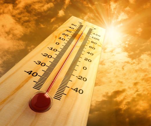 Temperatures in the desert can reach 111 degrees Fahrenheit.