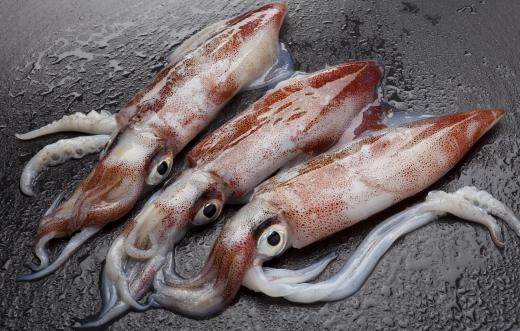 A blue-footed booby's diet might occasionally include small squid.