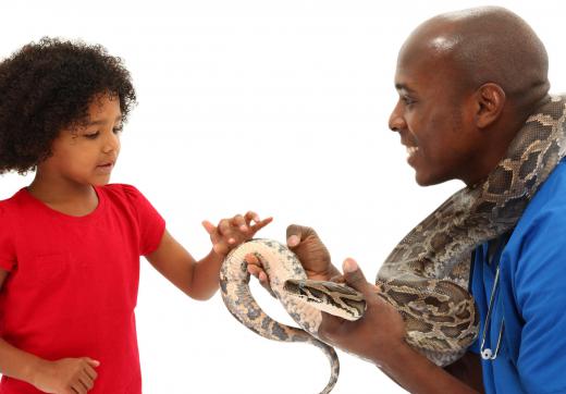 Some types of snakes are kept as pets.