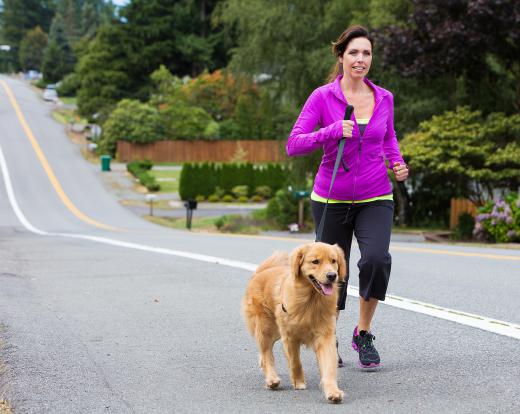 It's good for aging pets to continue daily exercise routines.