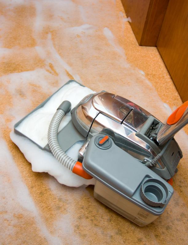 How Do I Choose the Best Pet Deodorizer? (with pictures)